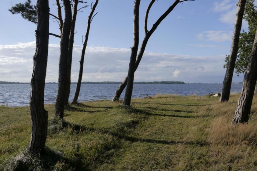 Fewo 08 Seemoewe Mit Blick Auf Salzhaff Und Ostsee Rerik Zewnętrze zdjęcie
