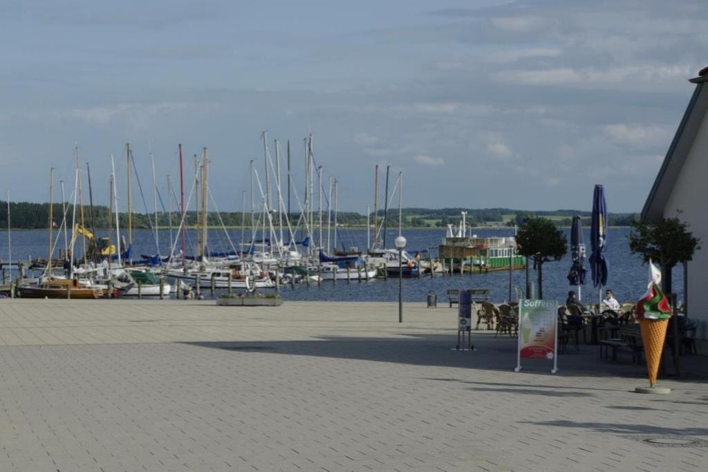 Fewo 08 Seemoewe Mit Blick Auf Salzhaff Und Ostsee Rerik Zewnętrze zdjęcie
